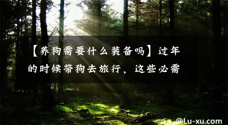 【养狗需要什么装备吗】过年的时候带狗去旅行，这些必需的物品最好主人一起带走文章配图