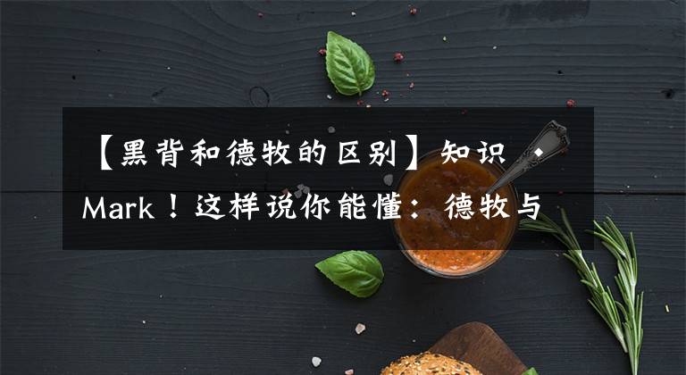 【黑背和德牧的区别】知识 · Mark！这样说你能懂：德牧与马犬的区别