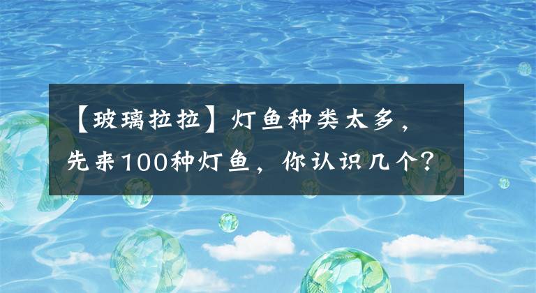 【玻璃拉拉】灯鱼种类太多，先来100种灯鱼，你认识几个？