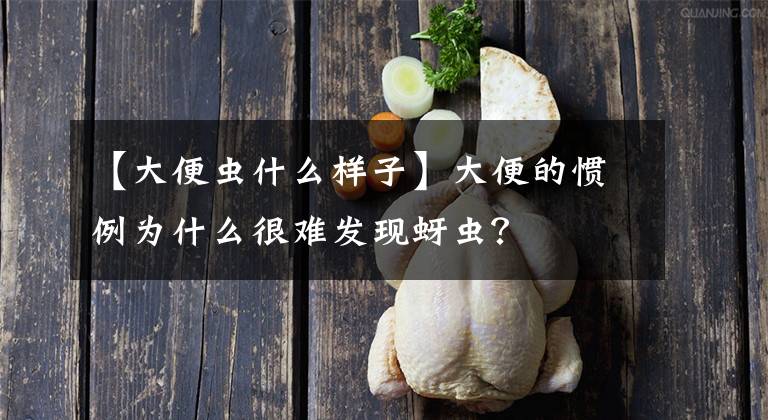 【大便虫什么样子】大便的惯例为什么很难发现蚜虫？文章配图
