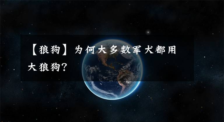 【狼狗】为何大多数军犬都用大狼狗？