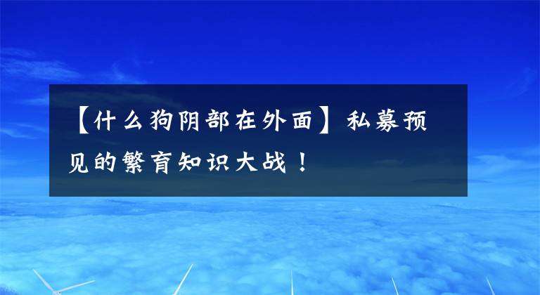 【什么狗阴部在外面】私募预见的繁育知识大战！文章配图