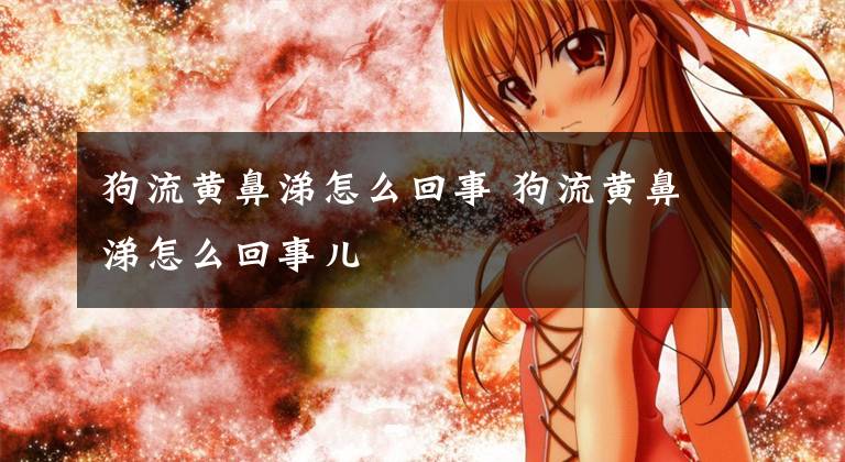 狗流黄鼻涕怎么回事 狗流黄鼻涕怎么回事儿文章配图