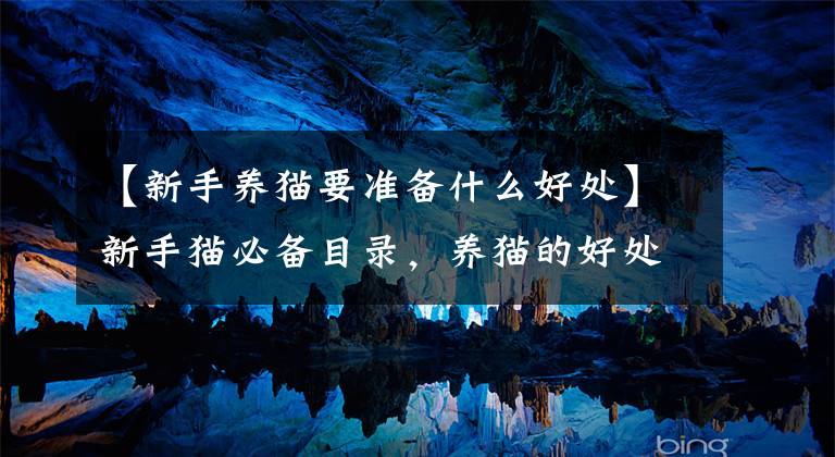【新手养猫要准备什么好处】新手猫必备目录，养猫的好处文章配图