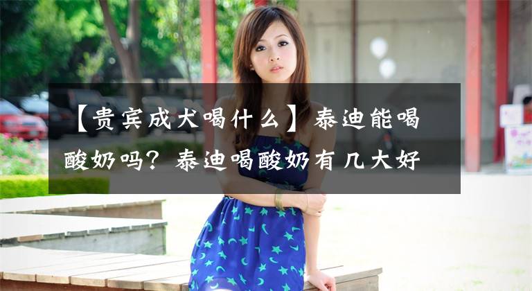 【贵宾成犬喝什么】泰迪能喝酸奶吗？泰迪喝酸奶有几大好处，你知道现在还不晚。文章配图