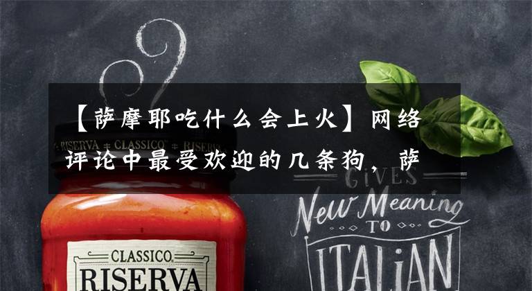 【萨摩耶吃什么会上火】网络评论中最受欢迎的几条狗，萨摩耶榜上有名，你家有狗吗？文章配图