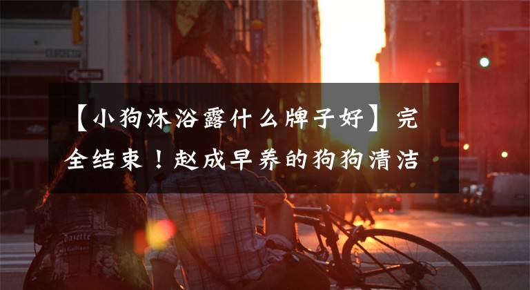 【小狗沐浴露什么牌子好】完全结束！赵成早养的狗狗清洁用品。文章配图