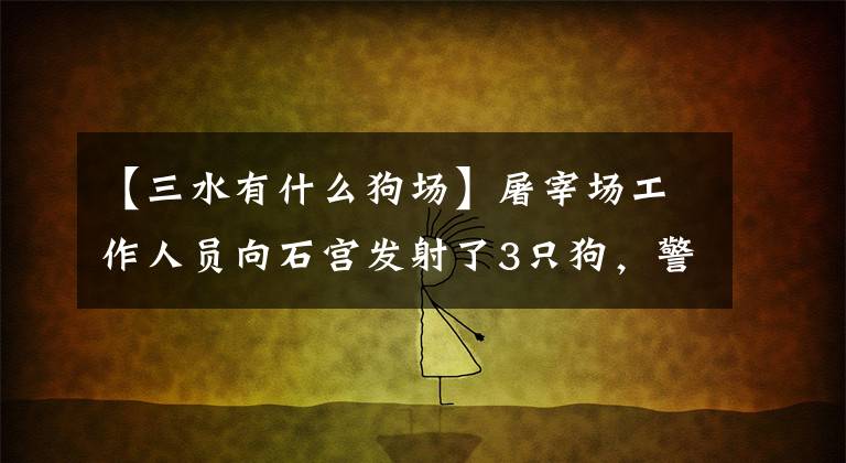 【三水有什么狗场】屠宰场工作人员向石宫发射了3只狗，警察揭发了一只盗贼狗。