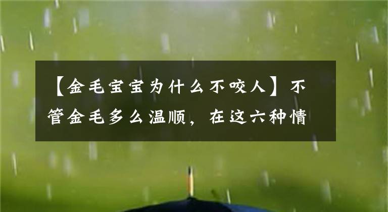 【金毛宝宝为什么不咬人】不管金毛多么温顺，在这六种情况下仍然能咬人！文章配图
