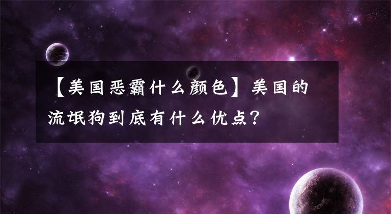 【美国恶霸什么颜色】美国的流氓狗到底有什么优点？