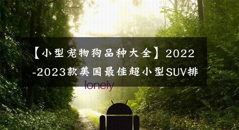 【小型宠物狗品种大全】2022 -2023款美国最佳超小型SUV排行榜，大众Taos独领风骚