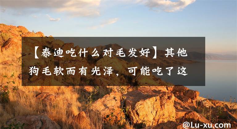 【泰迪吃什么对毛发好】其他狗毛软而有光泽，可能吃了这五种食物，主人，喂？文章配图