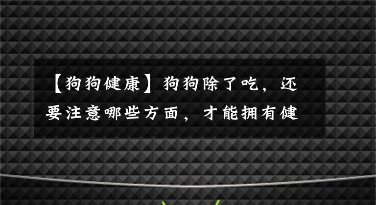 【狗狗健康】狗狗除了吃，还要注意哪些方面，才能拥有健康快乐的狗生？