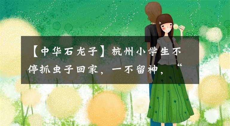 【中华石龙子】杭州小学生不停抓虫子回家，一不留神，“千足虫”爬进妈妈被子！