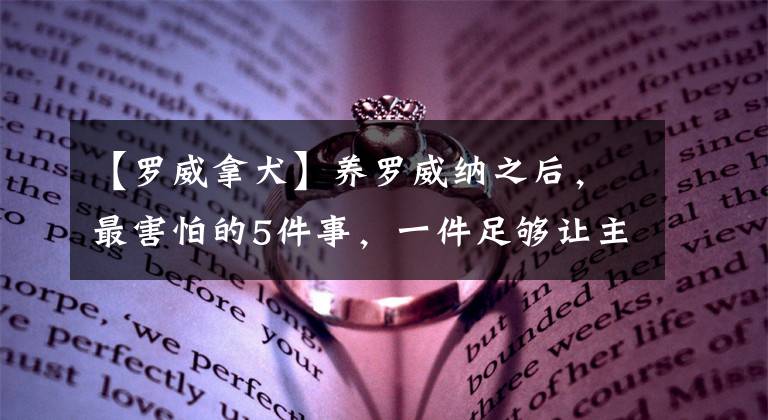 【罗威拿犬】养罗威纳之后，最害怕的5件事，一件足够让主人哭好久