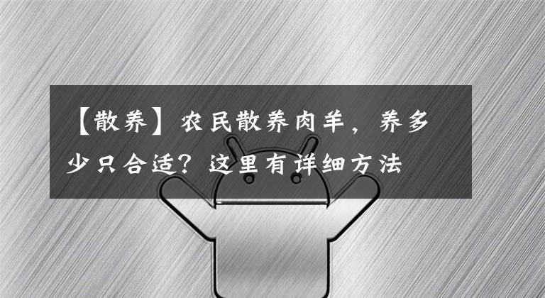 【散养】农民散养肉羊，养多少只合适？这里有详细方法