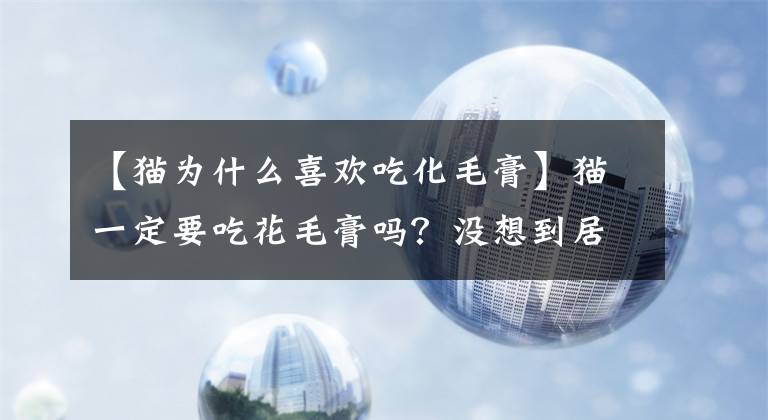 【猫为什么喜欢吃化毛膏】猫一定要吃花毛膏吗？没想到居然被骗了！文章配图