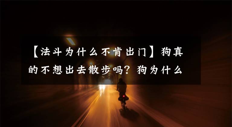 【法斗为什么不肯出门】狗真的不想出去散步吗？狗为什么讨厌走路，主人该如何应对文章配图