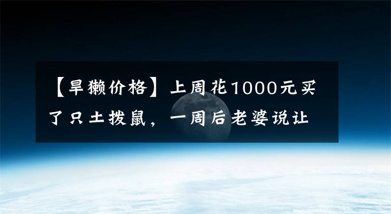 【旱獭价格】上周花1000元买了只土拨鼠，一周后老婆说让我带着土拨鼠离婚