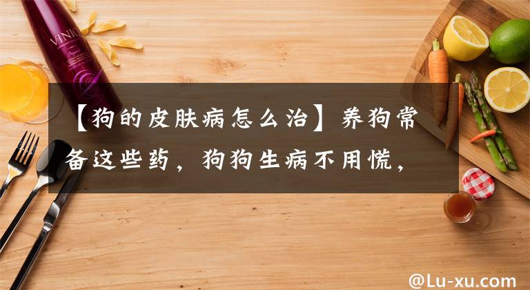 【狗的皮肤病怎么治】养狗常备这些药，狗狗生病不用慌，省钱又省心