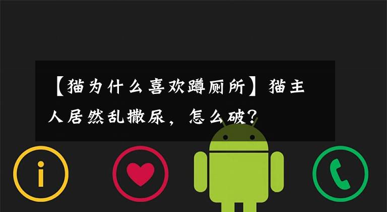 【猫为什么喜欢蹲厕所】猫主人居然乱撒尿，怎么破？文章配图