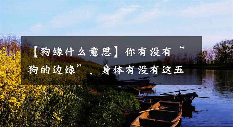 【狗缘什么意思】你有没有“狗的边缘”，身体有没有这五个特性，你中奖了吗？文章配图