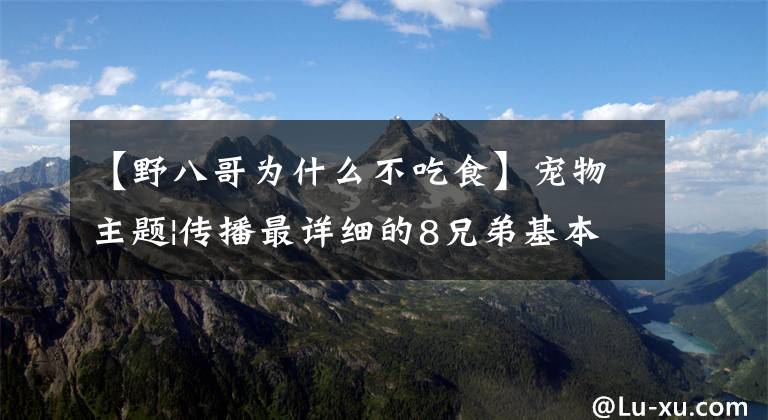 【野八哥为什么不吃食】宠物主题|传播最详细的8兄弟基本知识文章配图