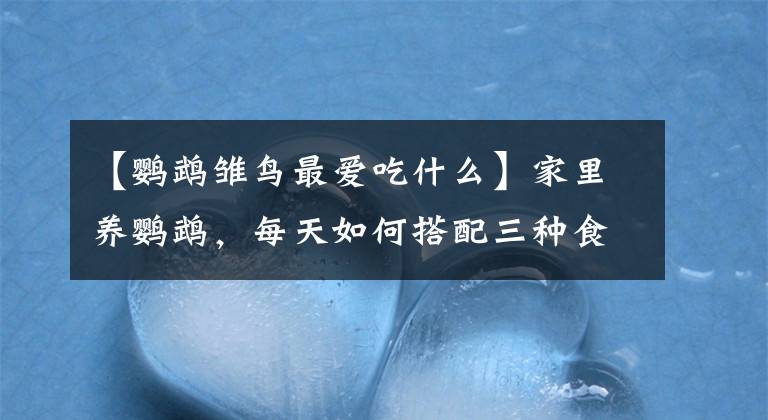 【鹦鹉雏鸟最爱吃什么】家里养鹦鹉，每天如何搭配三种食物，厨师告诉你鹦鹉吃什么。文章配图