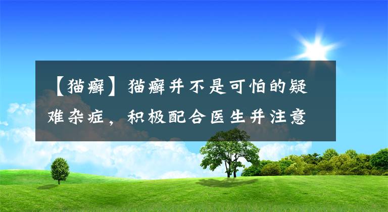 【猫癣】猫癣并不是可怕的疑难杂症，积极配合医生并注意这些事项就能治愈