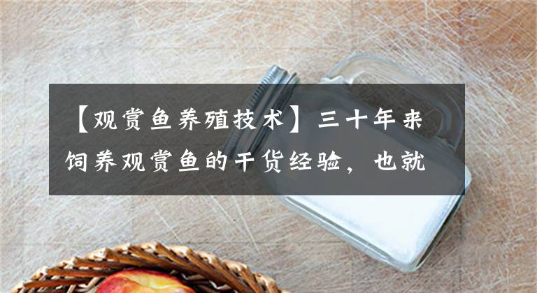 【观赏鱼养殖技术】三十年来饲养观赏鱼的干货经验，也就是九个字！