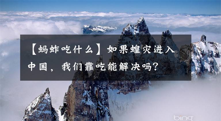 【蚂蚱吃什么】如果蝗灾进入中国，我们靠吃能解决吗？