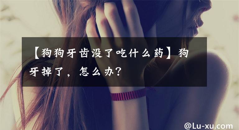 【狗狗牙齿没了吃什么药】狗牙掉了，怎么办？