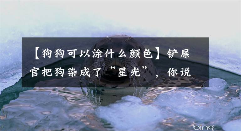 【狗狗可以涂什么颜色】铲屎官把狗染成了“星光”，你说狗更自信？网友都生气了。文章配图