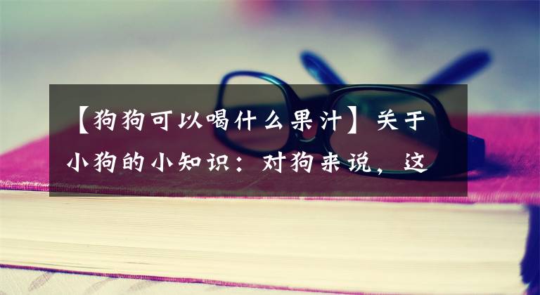 【狗狗可以喝什么果汁】关于小狗的小知识：对狗来说，这水果和蔬菜好处多多！文章配图