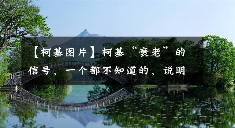 【柯基图片】柯基“衰老”的信号，一个都不知道的，说明你根本不爱它