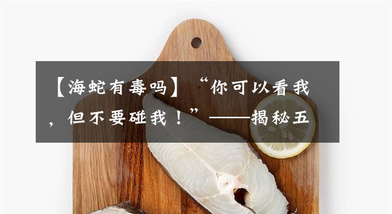 【海蛇有毒吗】“你可以看我，但不要碰我！”——揭秘五种有毒的海洋动物文章配图