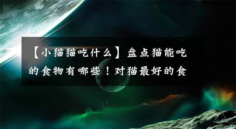 【小猫猫吃什么】盘点猫能吃的食物有哪些！对猫最好的食物是.文章配图