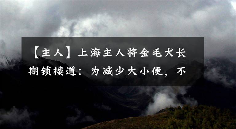 【主人】上海主人将金毛犬长期锁楼道：为减少大小便，不允许邻居喂食喂水