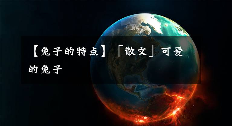 【兔子的特点】「散文」可爱的兔子