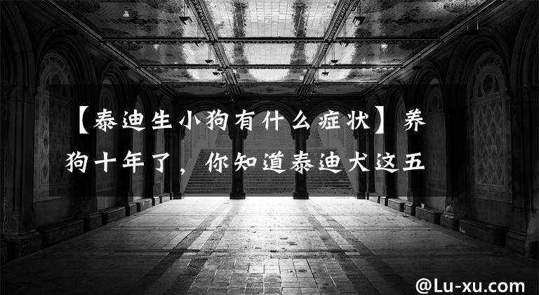 【泰迪生小狗有什么症状】养狗十年了，你知道泰迪犬这五种“怪异行为”的意思吗？文章配图