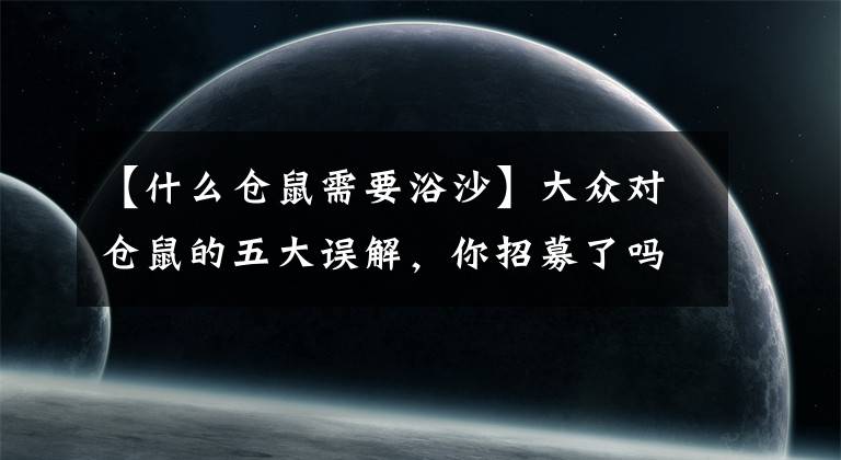 【什么仓鼠需要浴沙】大众对仓鼠的五大误解，你招募了吗？文章配图