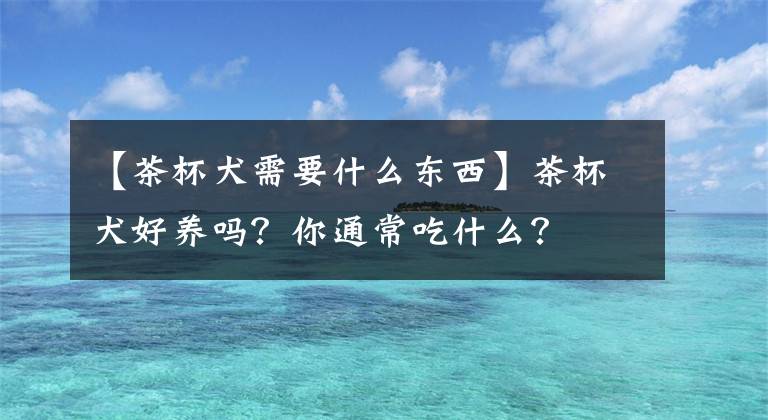 【茶杯犬需要什么东西】茶杯犬好养吗？你通常吃什么？