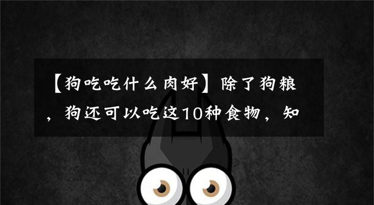 【狗吃吃什么肉好】除了狗粮，狗还可以吃这10种食物，知道还不晚文章配图
