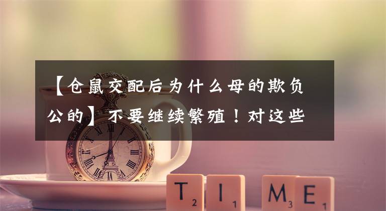 【仓鼠交配后为什么母的欺负公的】不要继续繁殖！对这些仓鼠繁殖有什么误解吗？文章配图