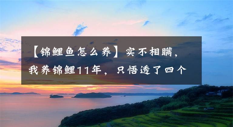 【锦鲤鱼怎么养】实不相瞒，我养锦鲤11年，只悟透了四个字——三高三低