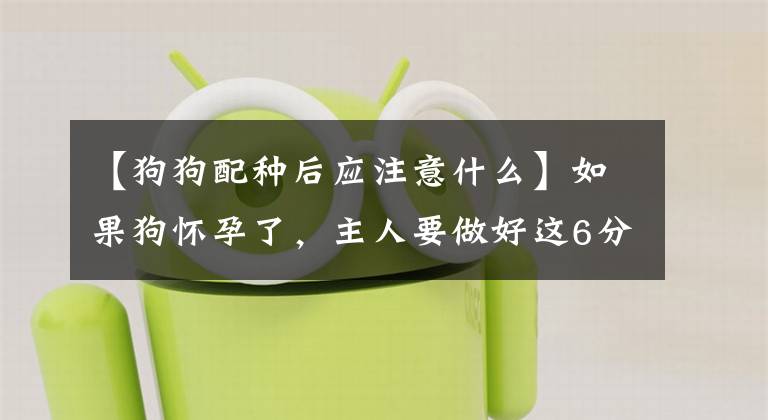 【狗狗配种后应注意什么】如果狗怀孕了，主人要做好这6分文章配图