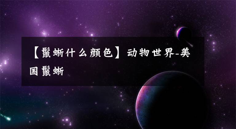 【鬣蜥什么颜色】动物世界-美国鬣蜥文章配图