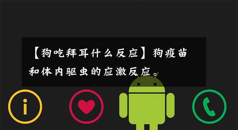 【狗吃拜耳什么反应】狗疫苗和体内驱虫的应激反应。