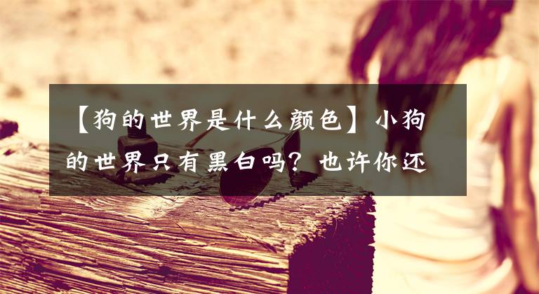 【狗的世界是什么颜色】小狗的世界只有黑白吗？也许你还不太了解它们。文章配图
