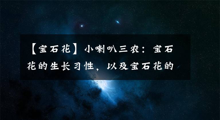 【宝石花】小喇叭三农：宝石花的生长习性，以及宝石花的四季养护管理